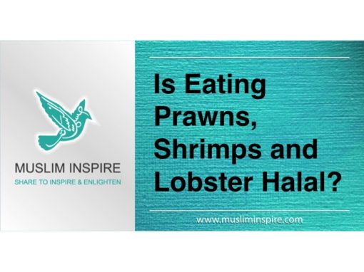 Is Octopus Haram To Eat / 【大食い_Gluttony】She is very greedy to eat seafood: lobster ... / Octopuses are ocean creatures that are most famous for having eight arms and bulbous heads.